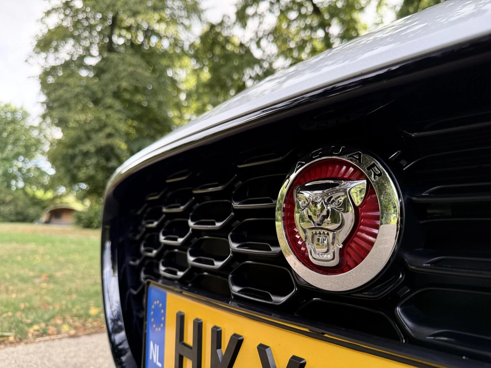 Hoofdafbeelding Jaguar F-Type