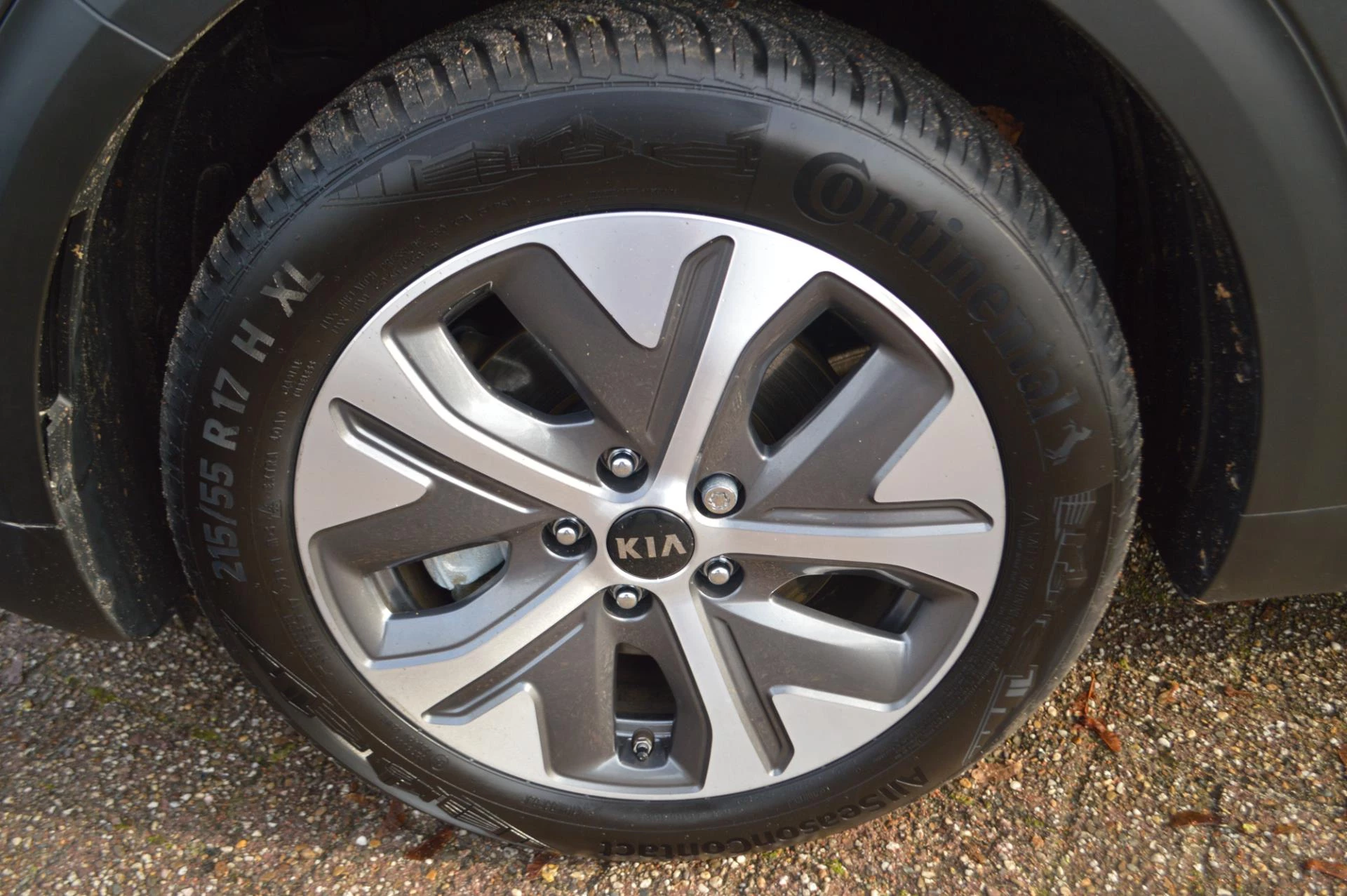 Hoofdafbeelding Kia e-Niro