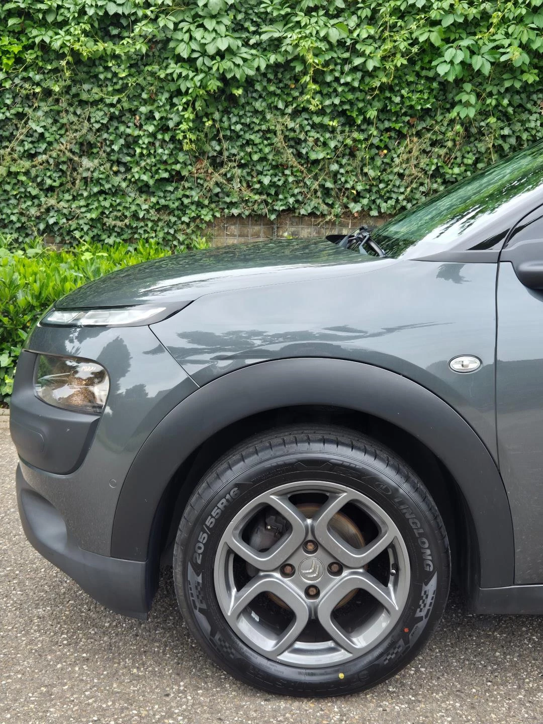 Hoofdafbeelding Citroën C4 Cactus