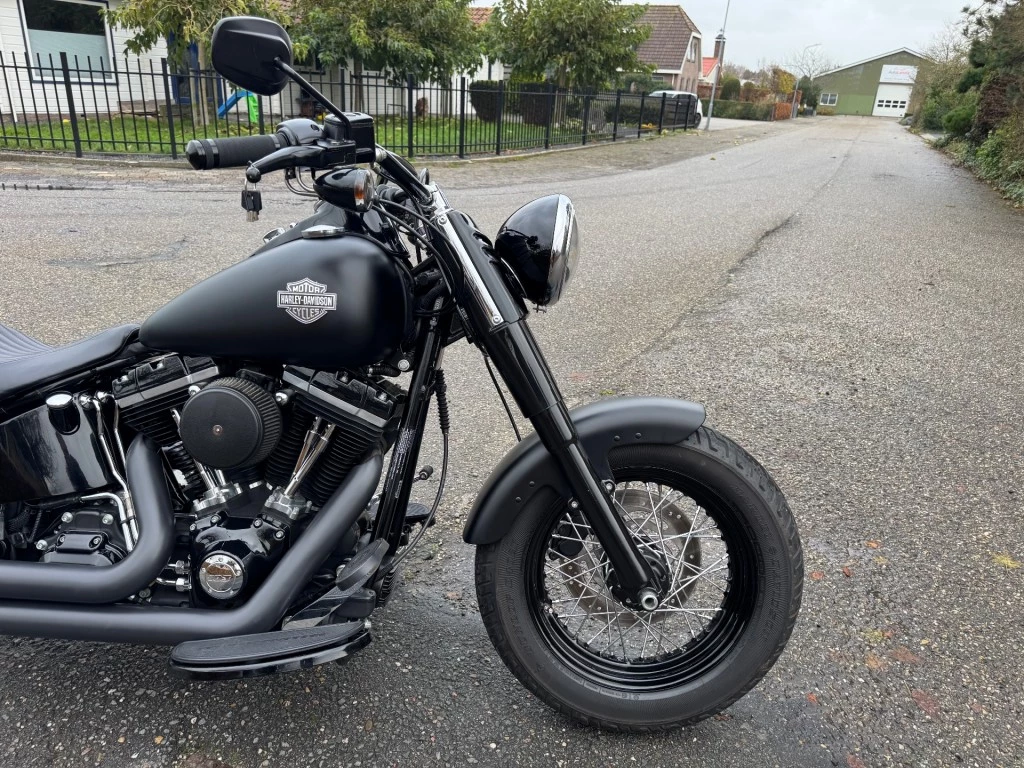 Hoofdafbeelding Harley-Davidson Softail