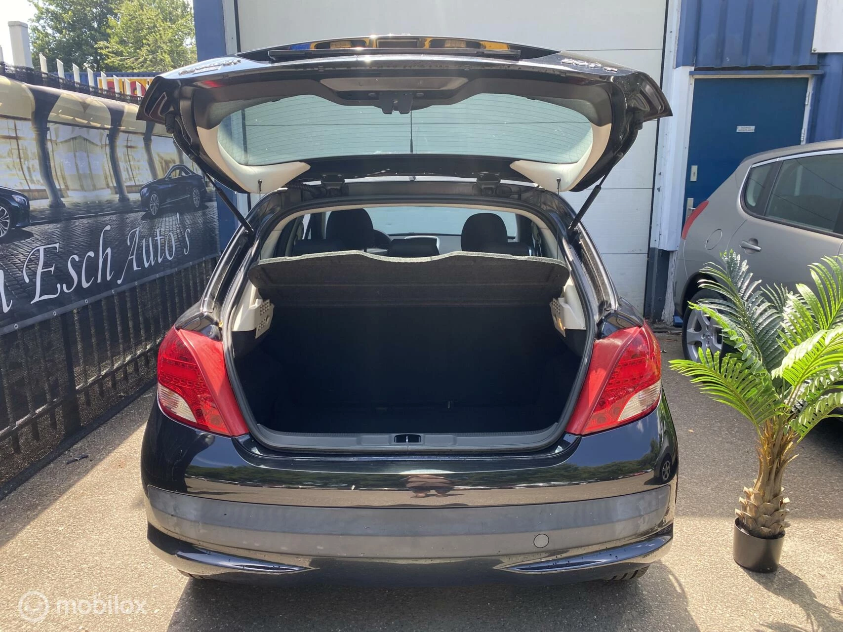 Hoofdafbeelding Peugeot 207