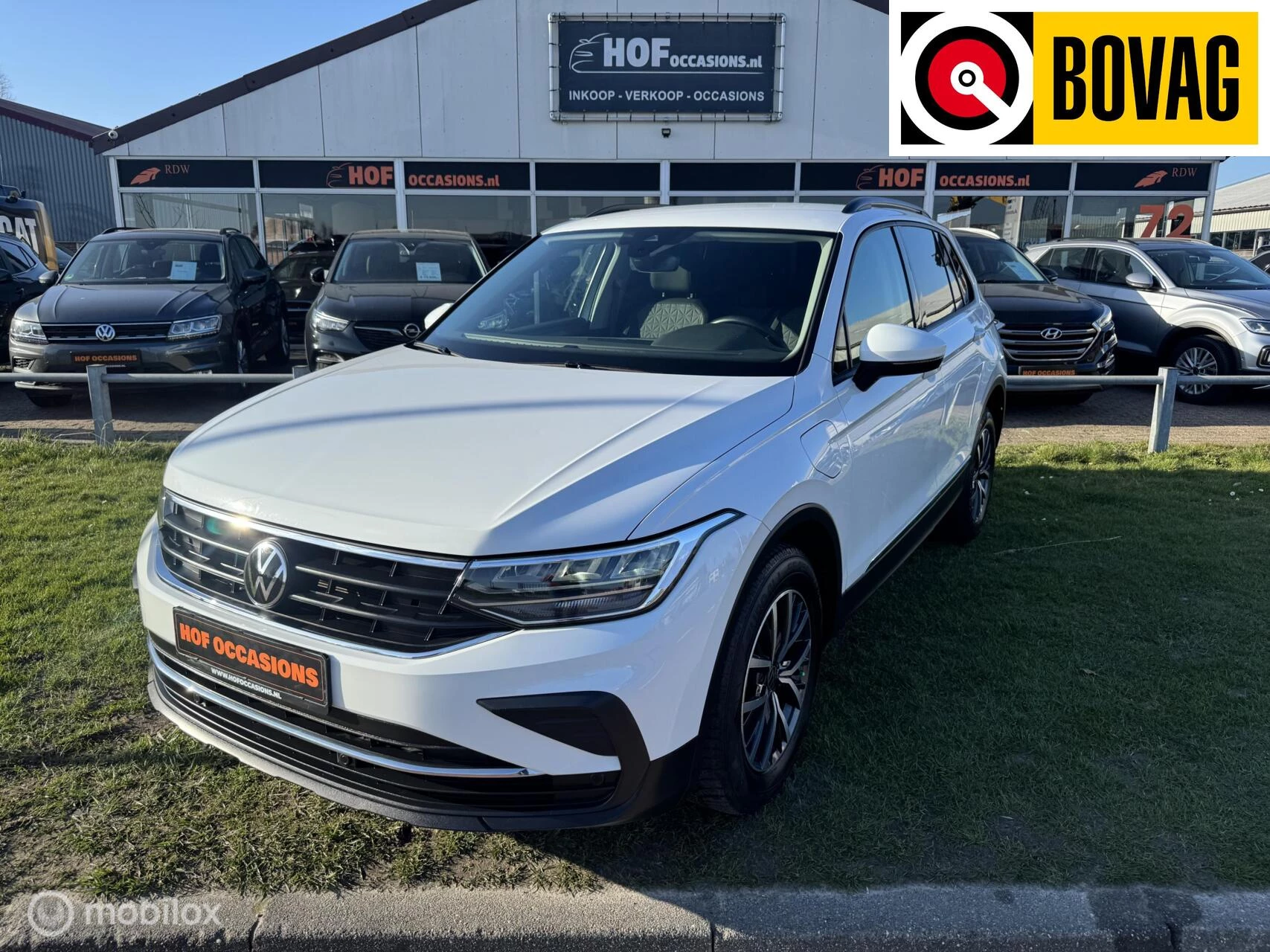 Hoofdafbeelding Volkswagen Tiguan