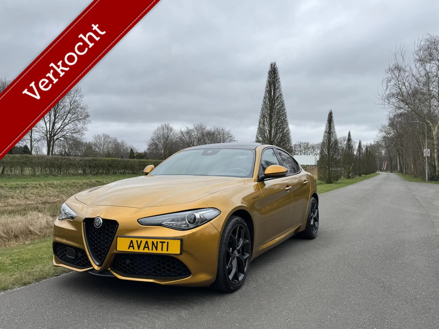 Hoofdafbeelding Alfa Romeo Giulia