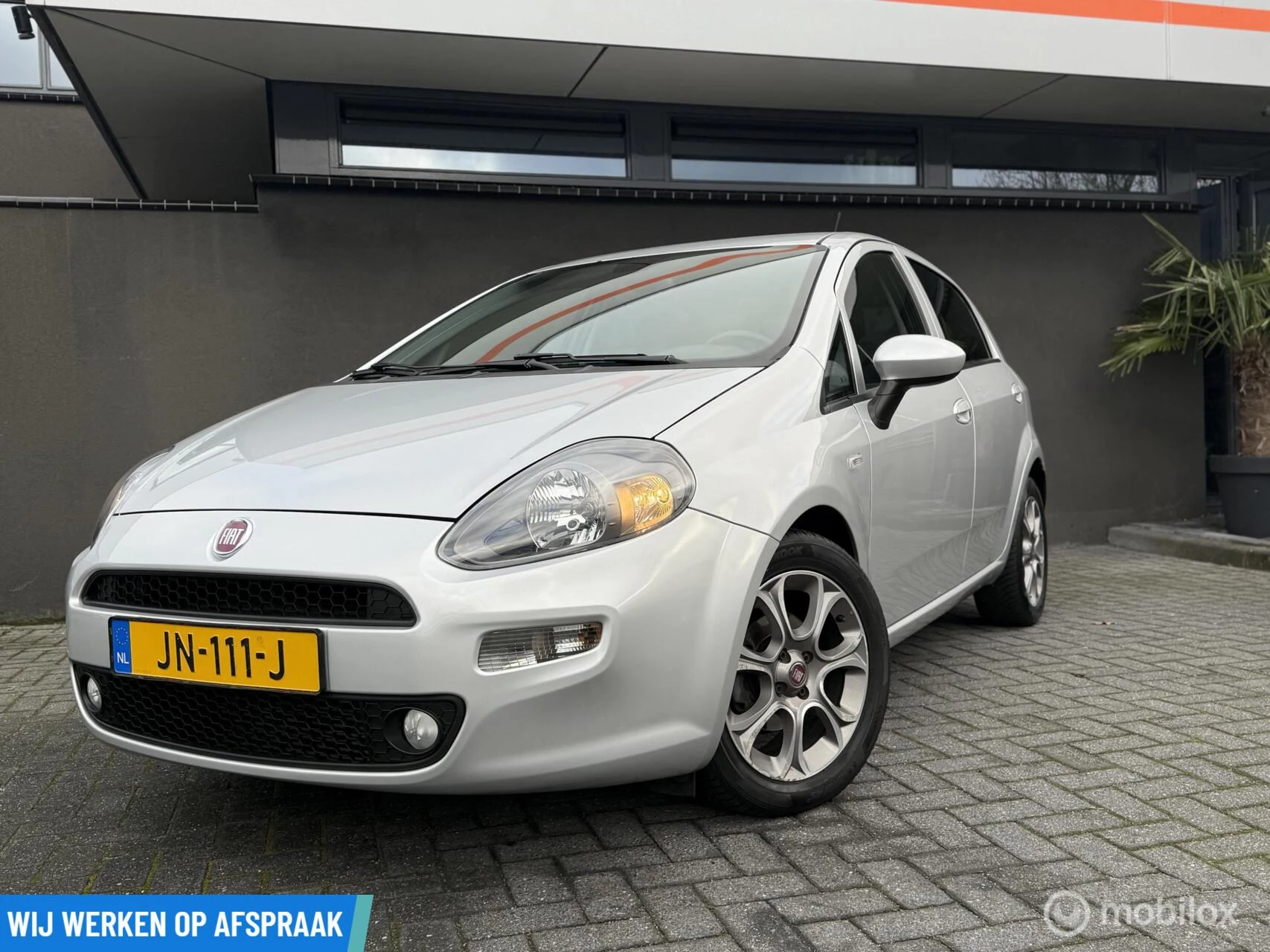Hoofdafbeelding Fiat Punto