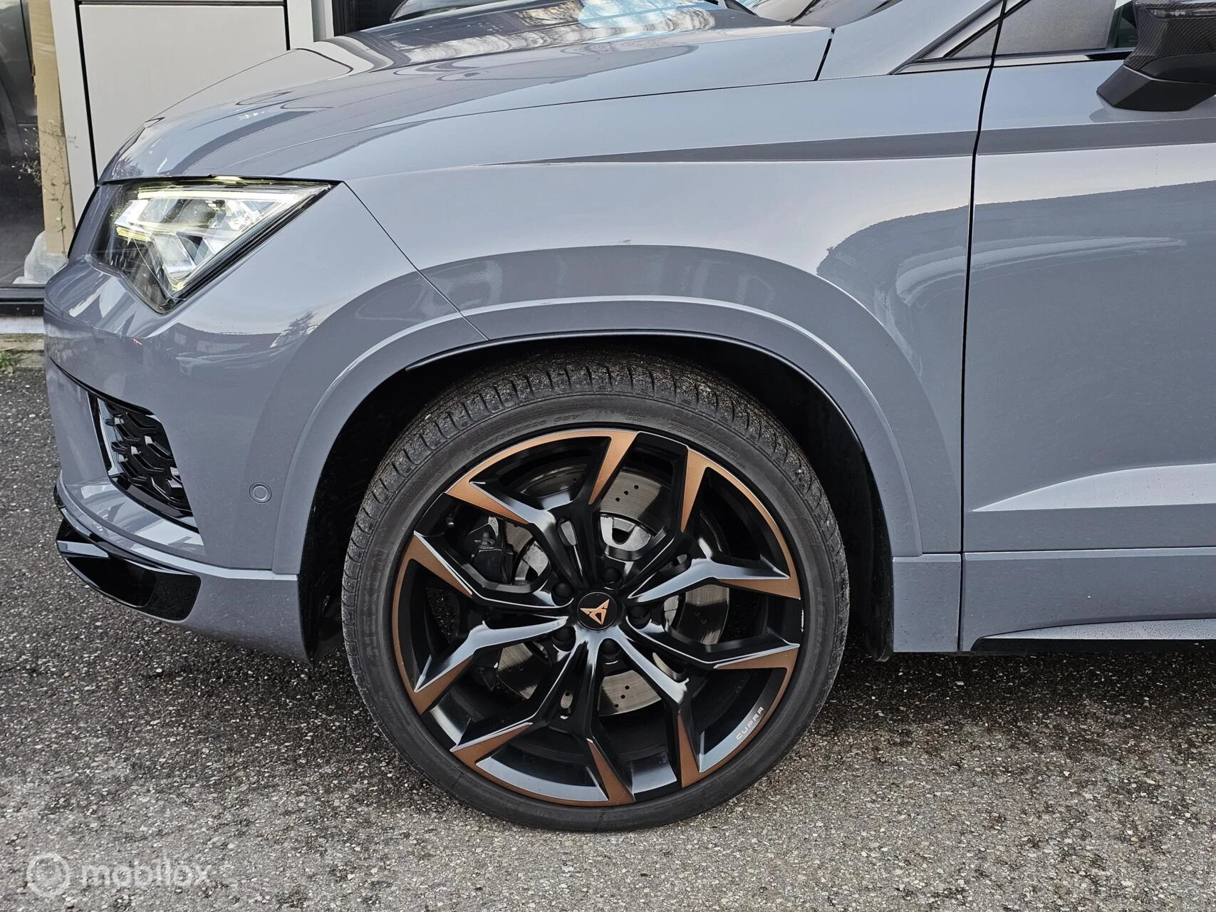 Hoofdafbeelding CUPRA Ateca