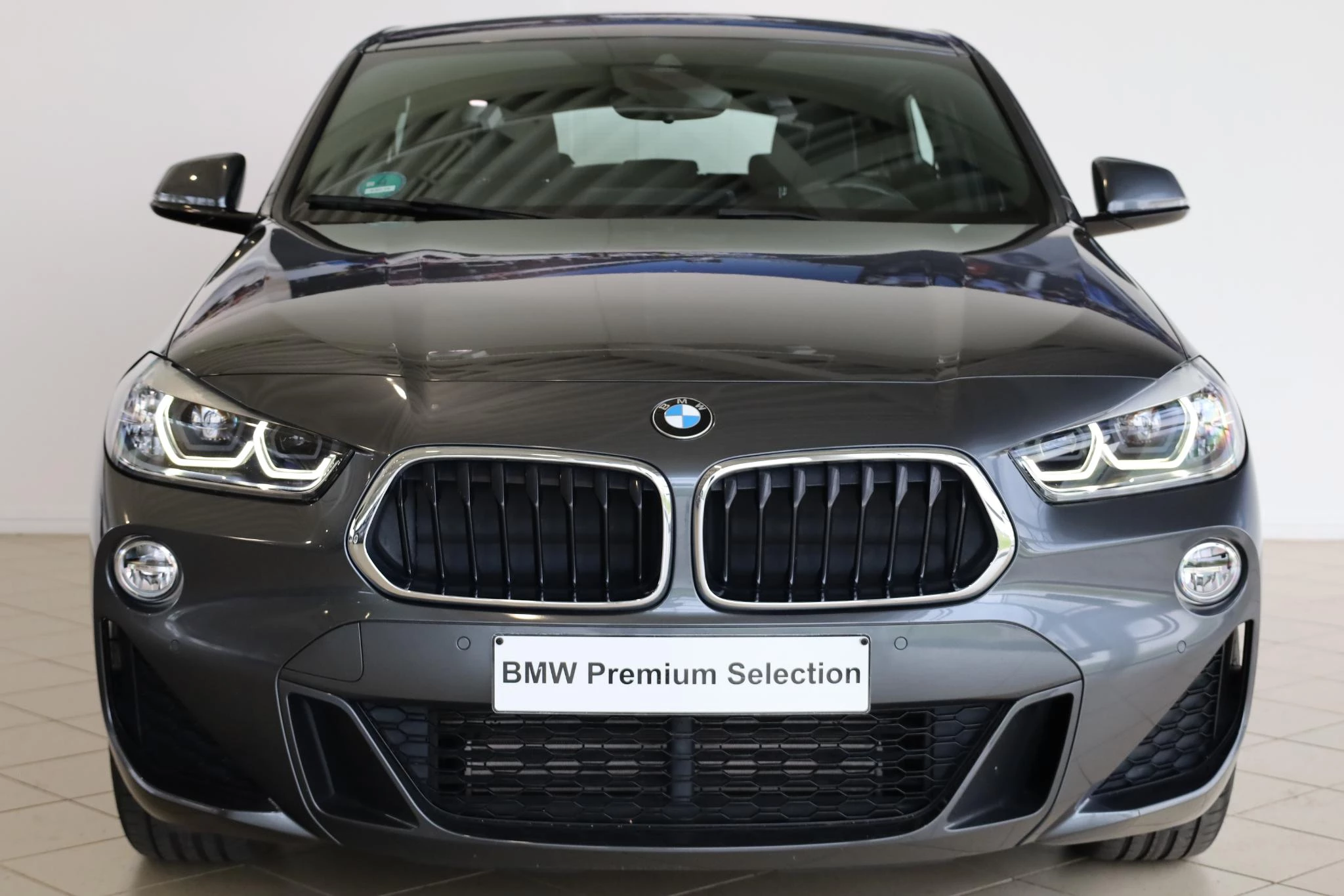 Hoofdafbeelding BMW X2