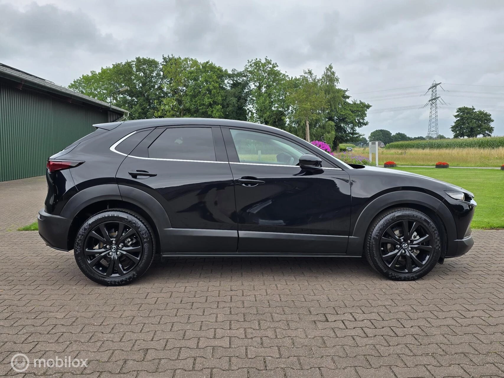 Hoofdafbeelding Mazda CX-30