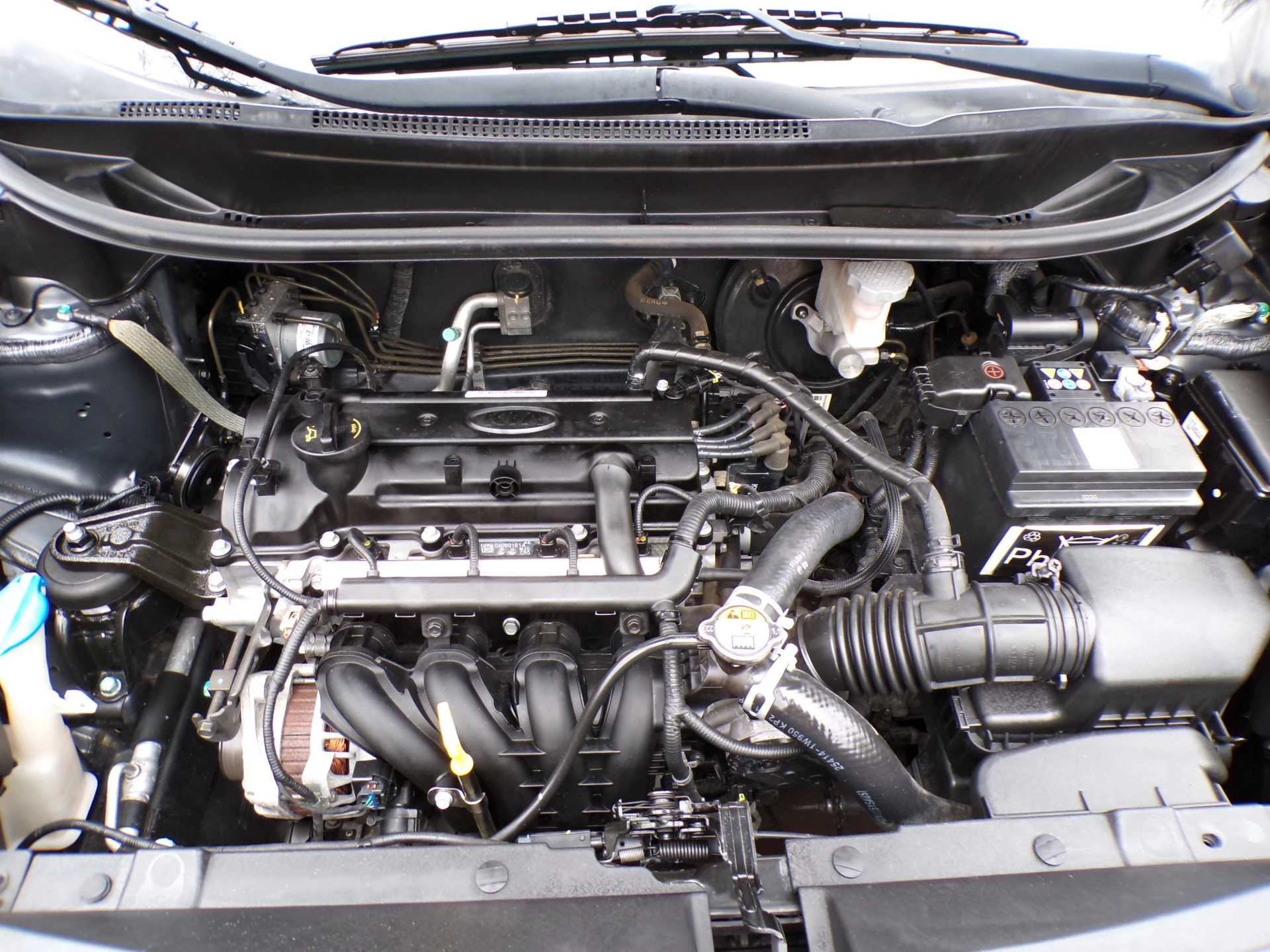 Hoofdafbeelding Kia Rio