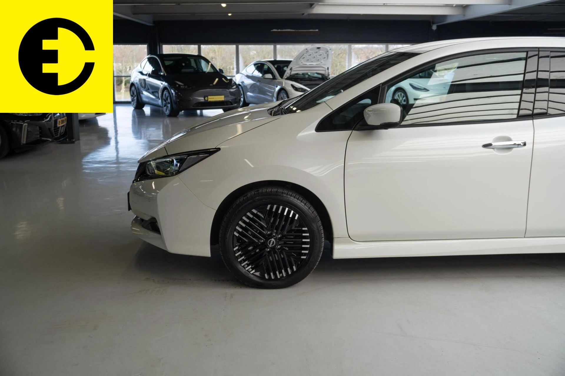 Hoofdafbeelding Nissan Leaf