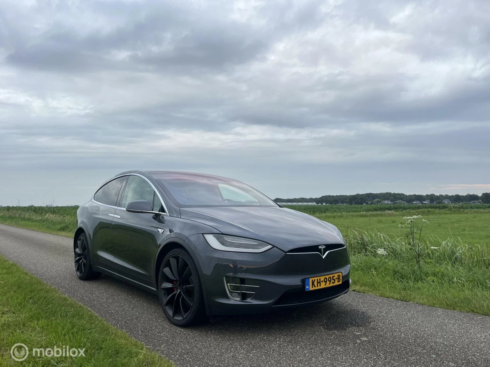 Hoofdafbeelding Tesla Model X