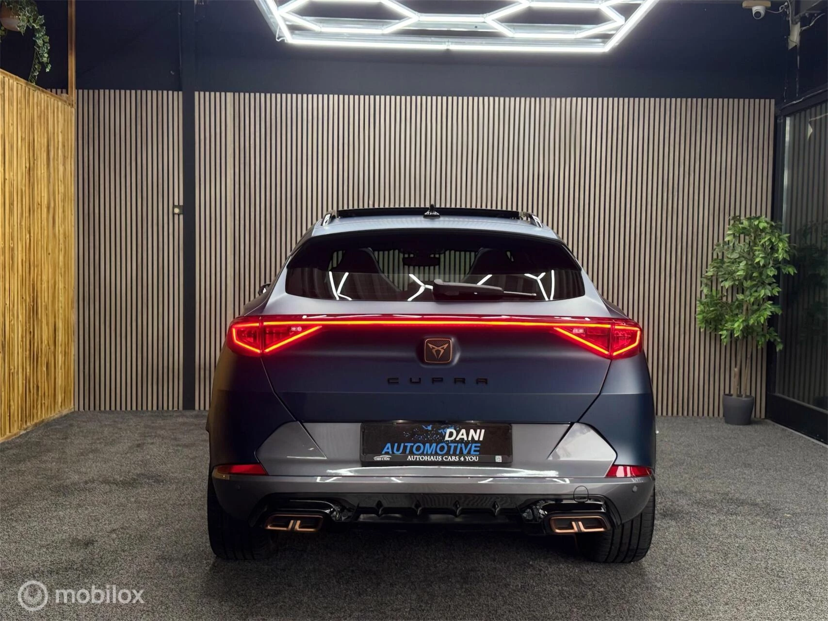 Hoofdafbeelding CUPRA Formentor