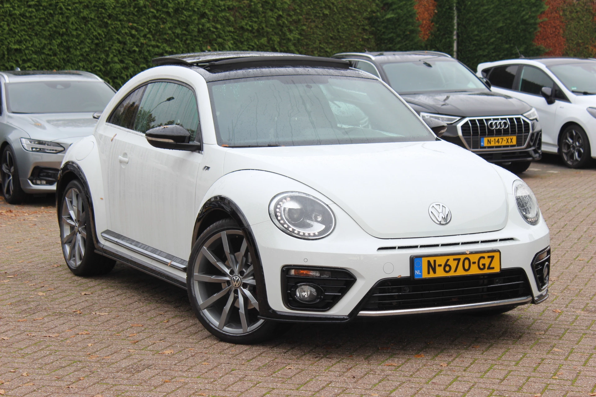 Hoofdafbeelding Volkswagen Beetle