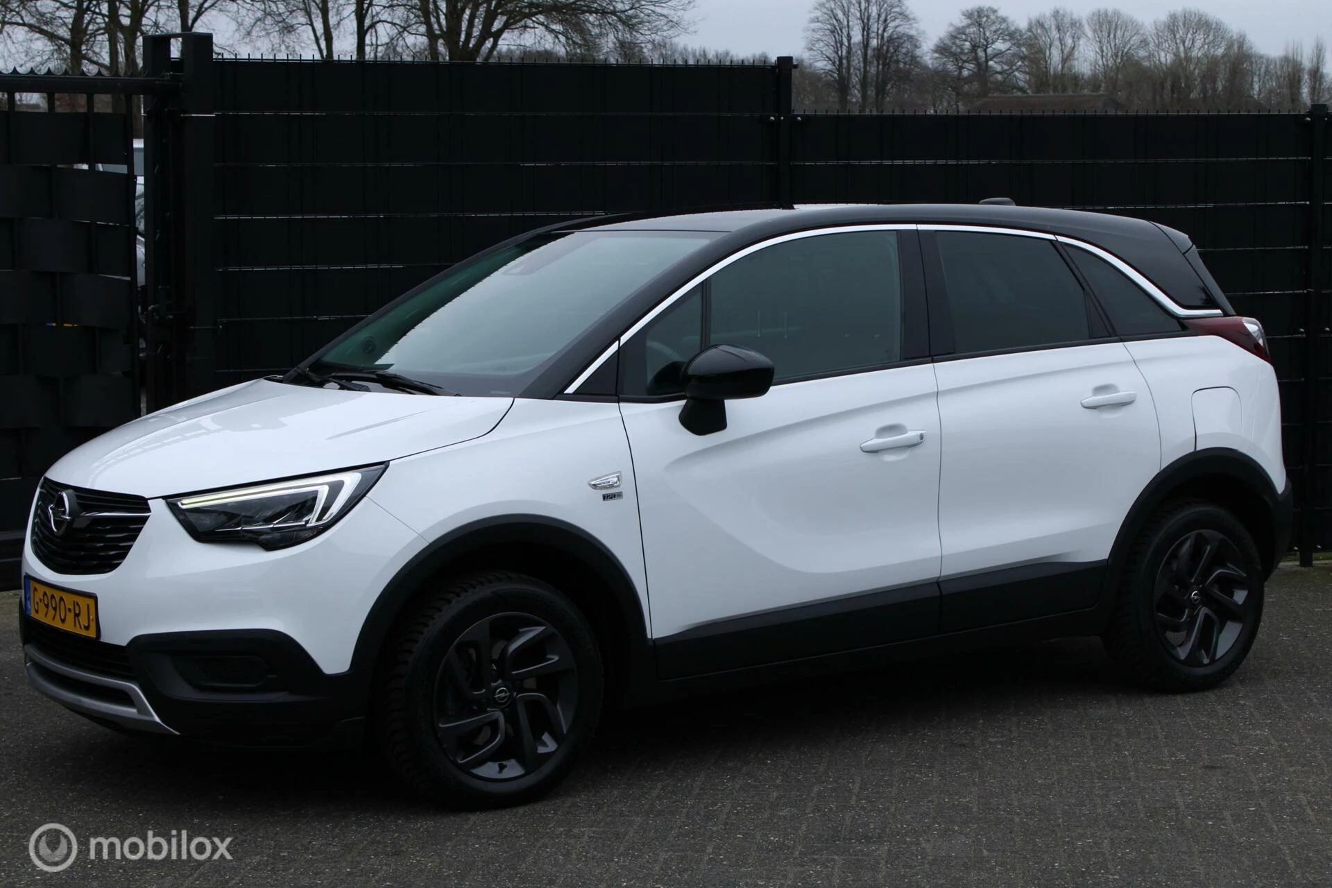 Hoofdafbeelding Opel Crossland X