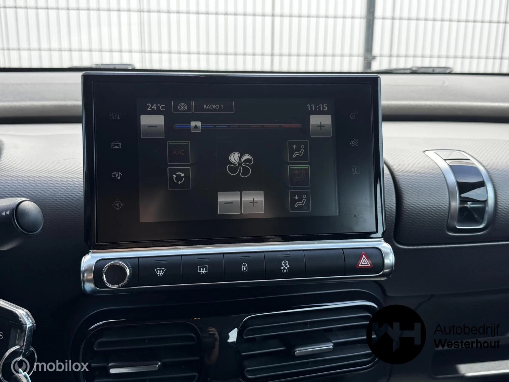 Hoofdafbeelding Citroën C4 Cactus
