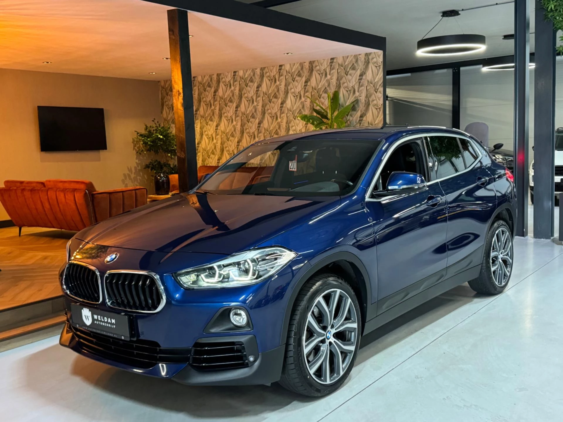Hoofdafbeelding BMW X2