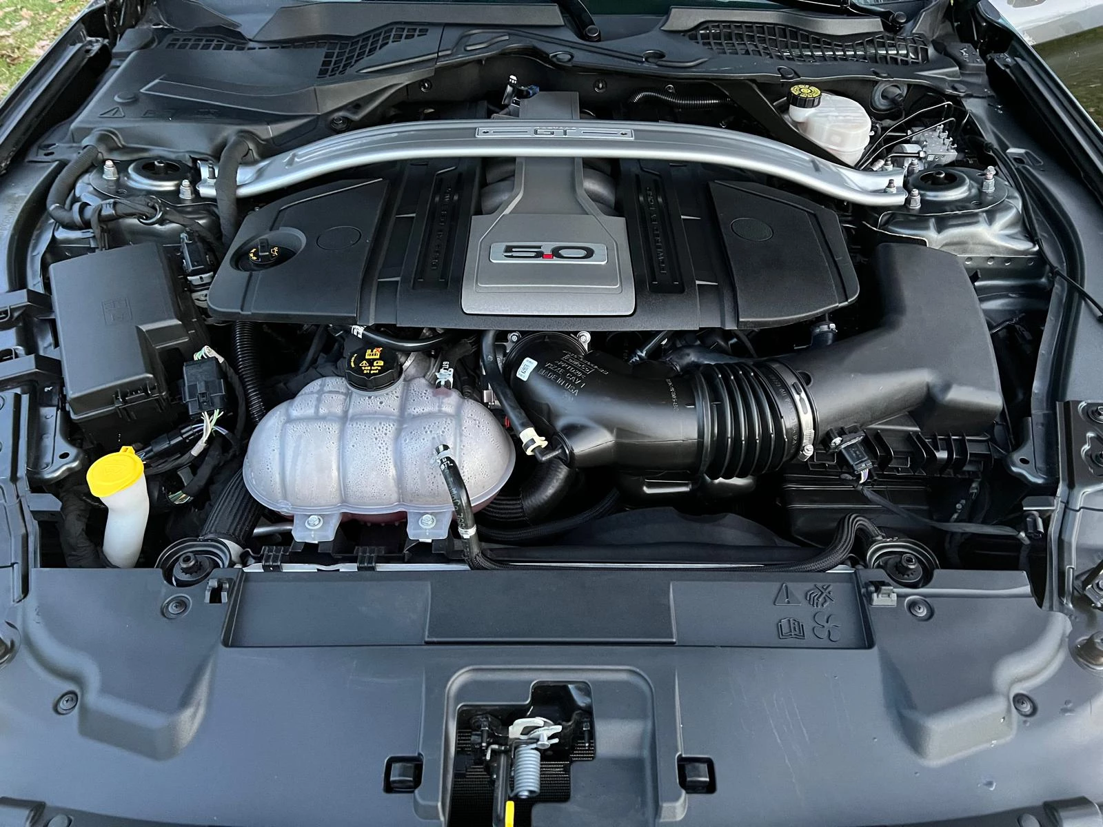 Hoofdafbeelding Ford Mustang