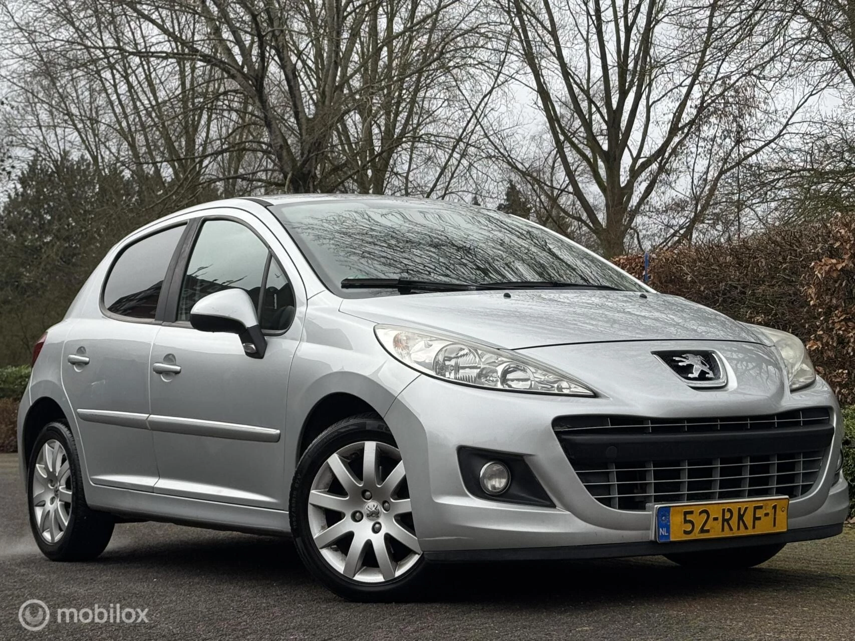 Hoofdafbeelding Peugeot 207