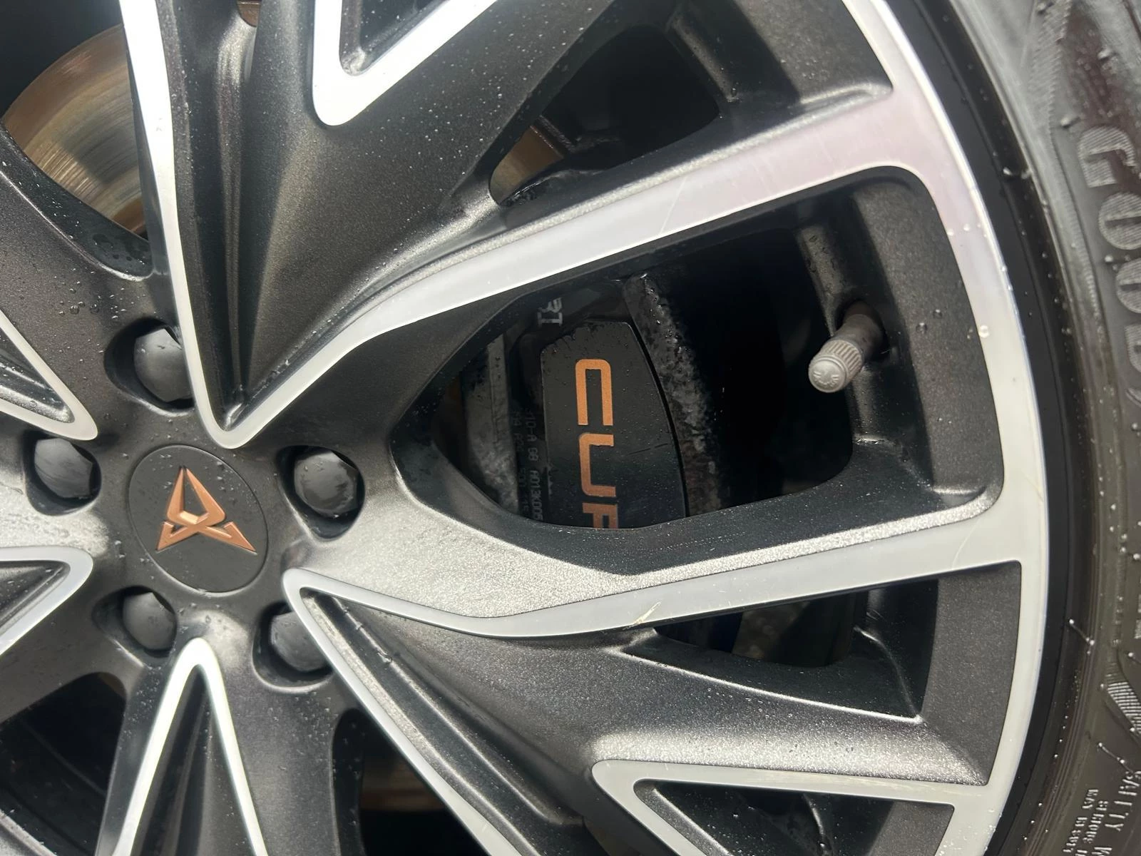 Hoofdafbeelding CUPRA Leon