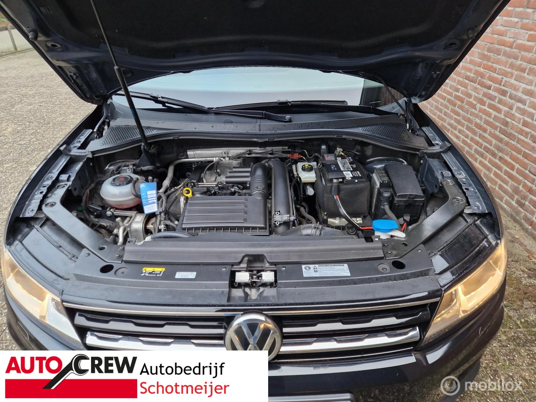 Hoofdafbeelding Volkswagen Tiguan