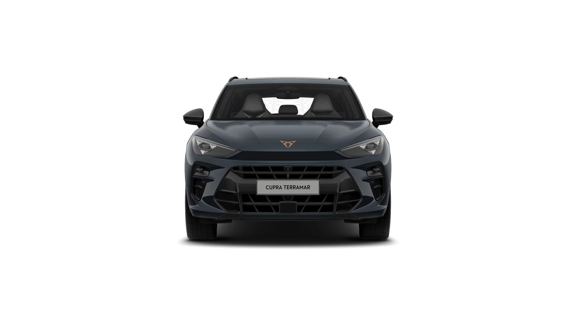 Hoofdafbeelding CUPRA Terramar