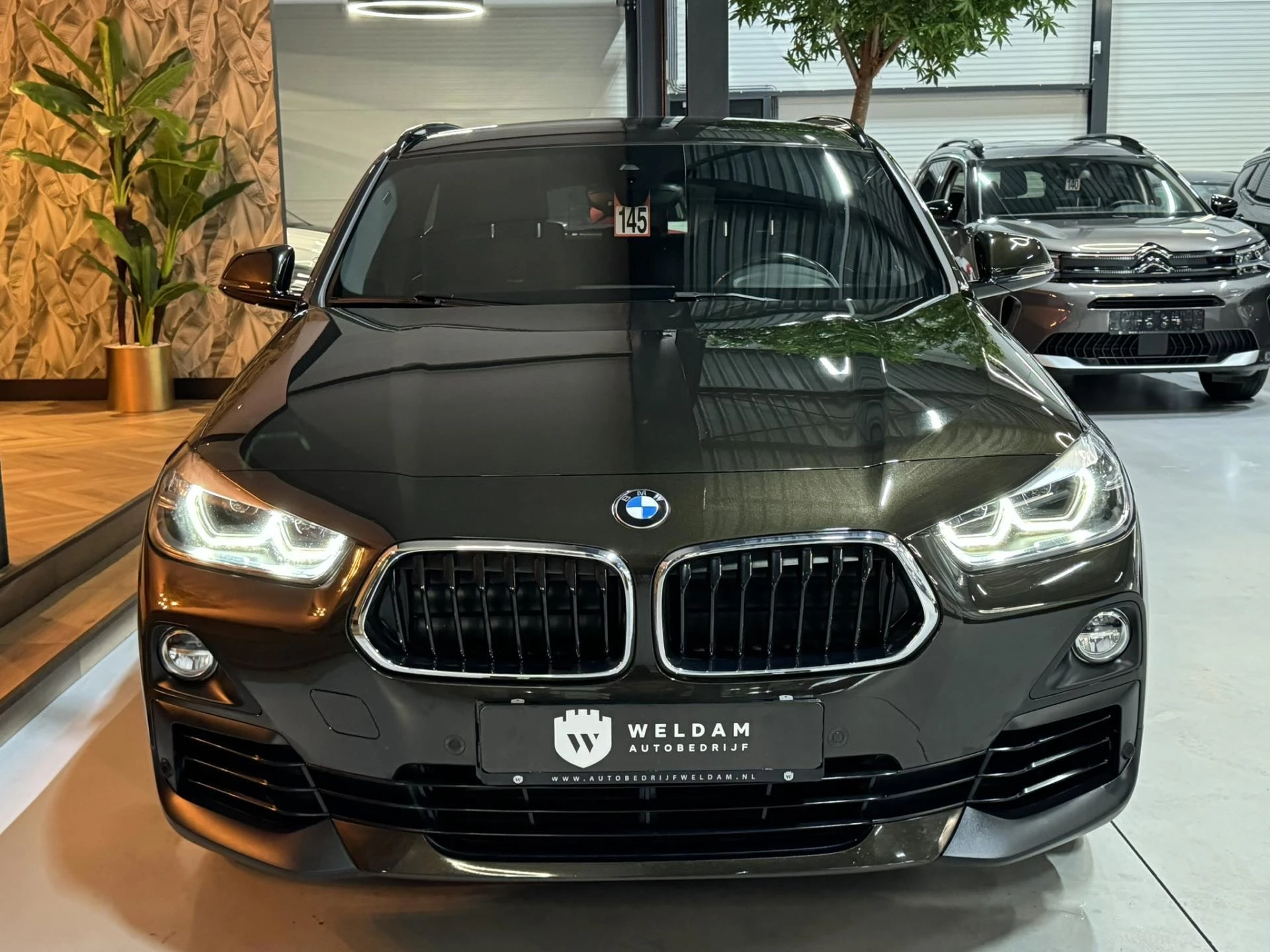 Hoofdafbeelding BMW X2