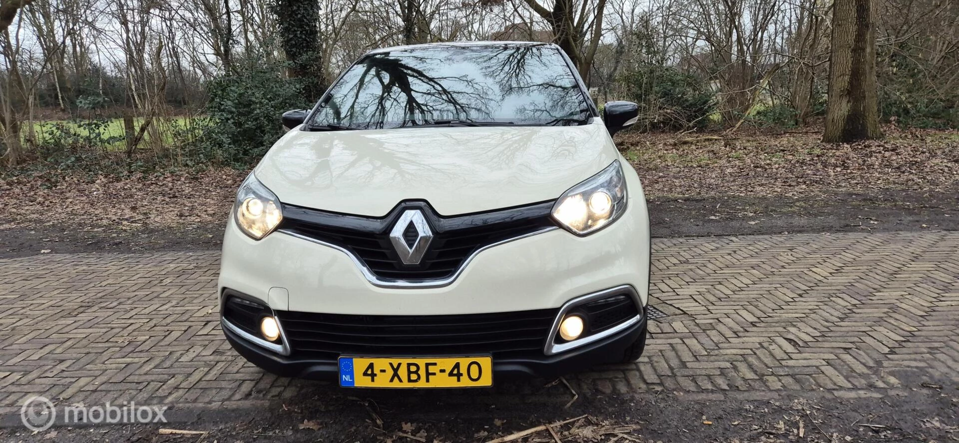 Hoofdafbeelding Renault Captur