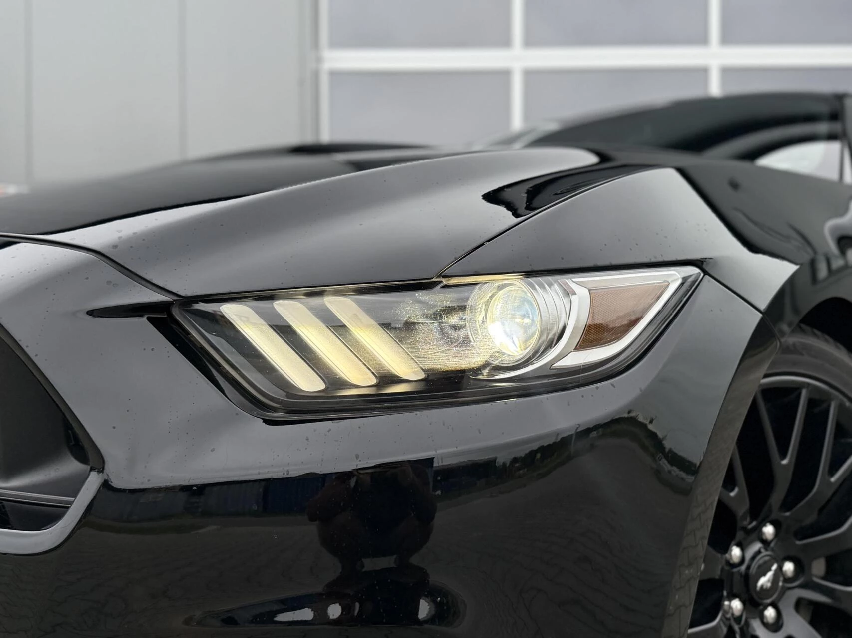 Hoofdafbeelding Ford Mustang