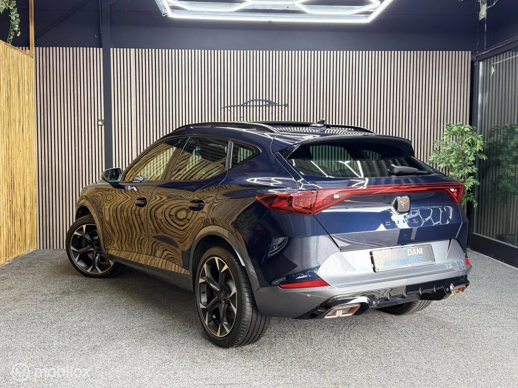Hoofdafbeelding CUPRA Formentor