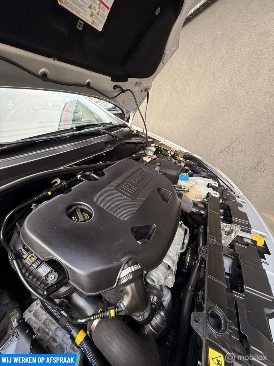 Hoofdafbeelding Fiat Punto