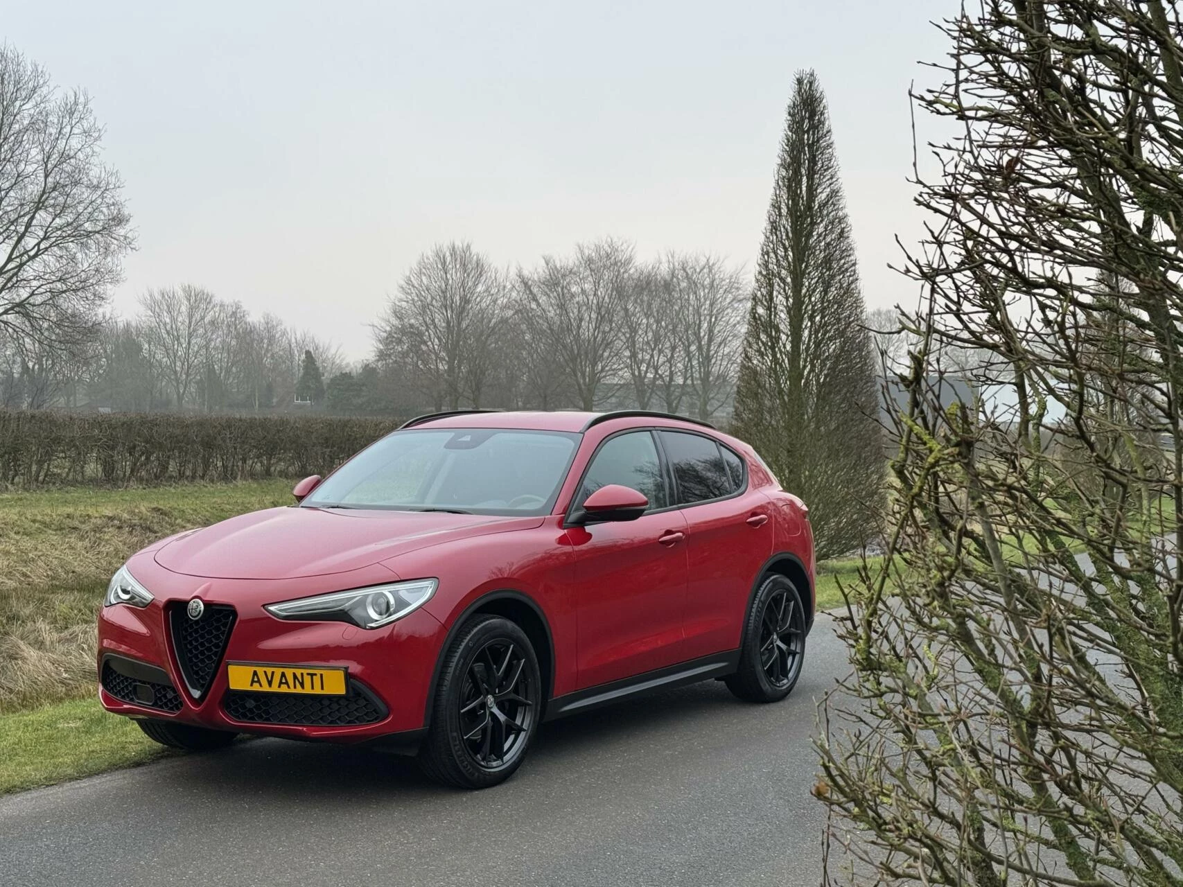 Hoofdafbeelding Alfa Romeo Stelvio