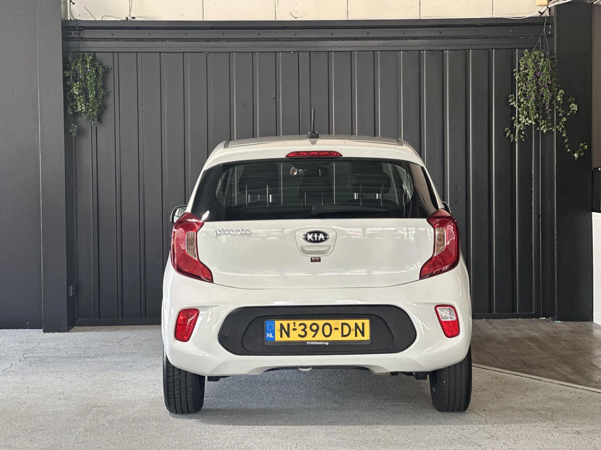 Hoofdafbeelding Kia Picanto