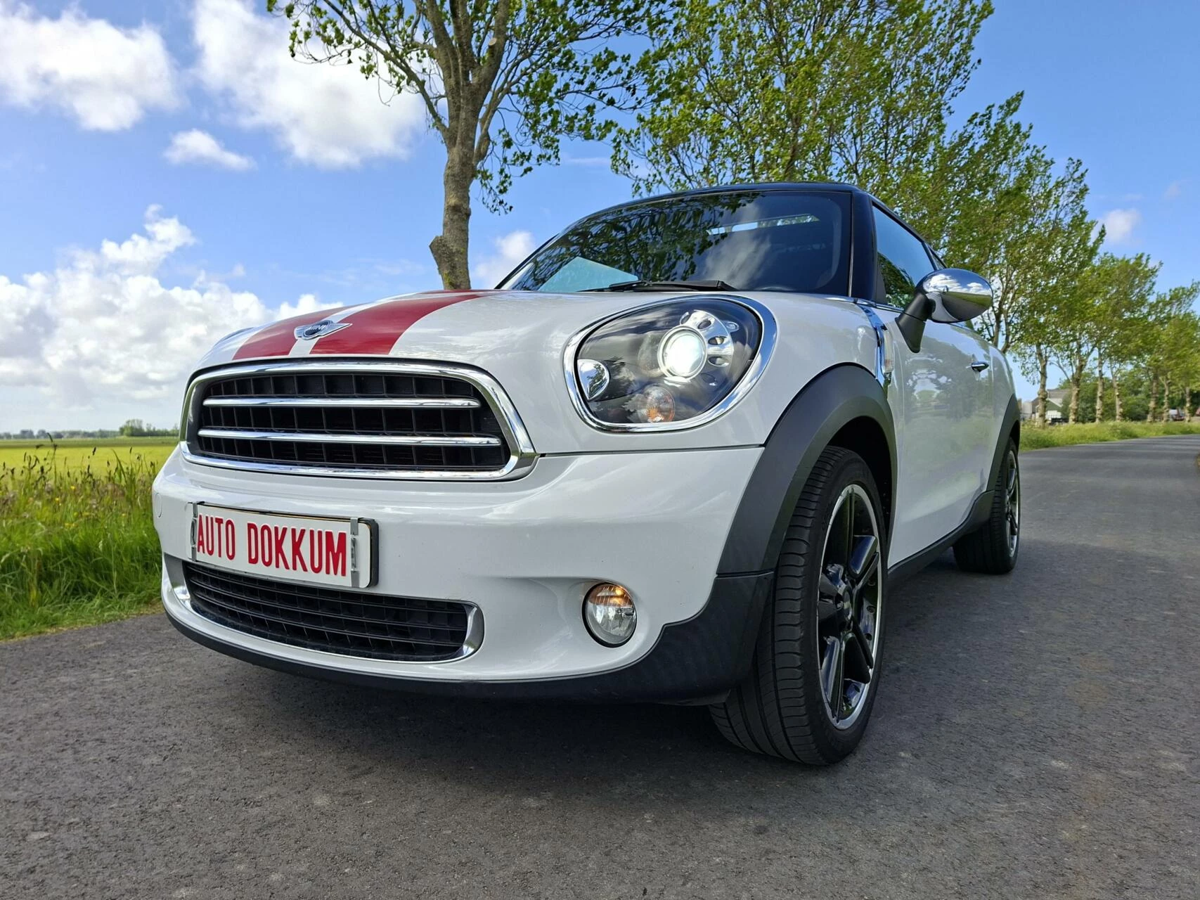 Hoofdafbeelding MINI Paceman