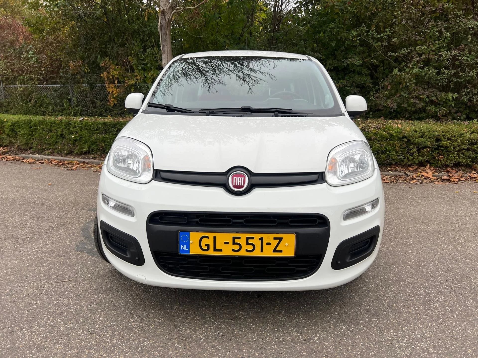 Hoofdafbeelding Fiat Panda