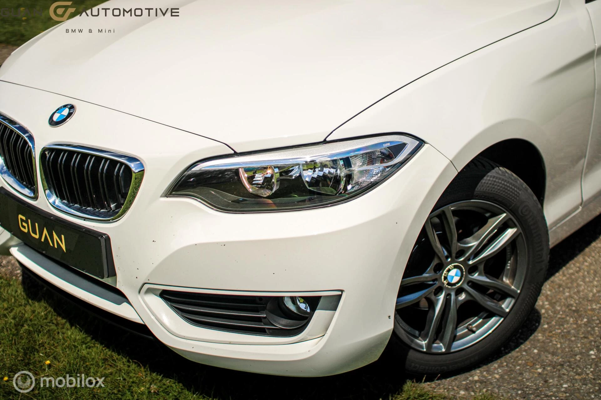 Hoofdafbeelding BMW 2 Serie