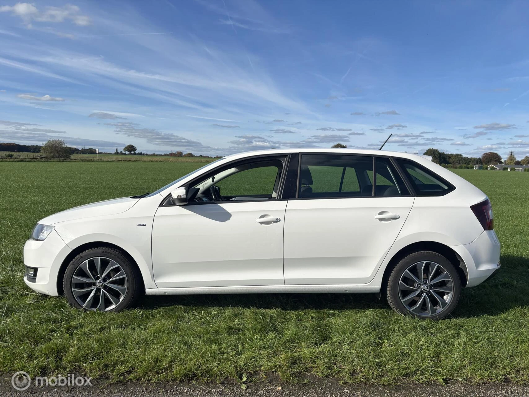 Hoofdafbeelding Škoda Rapid