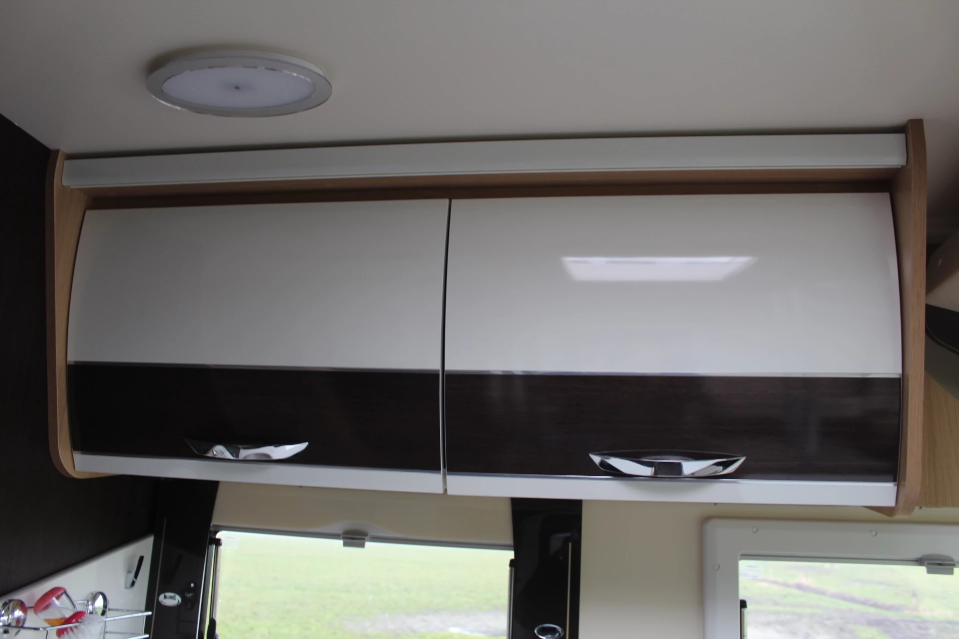 Hoofdafbeelding McLouis YEARLING