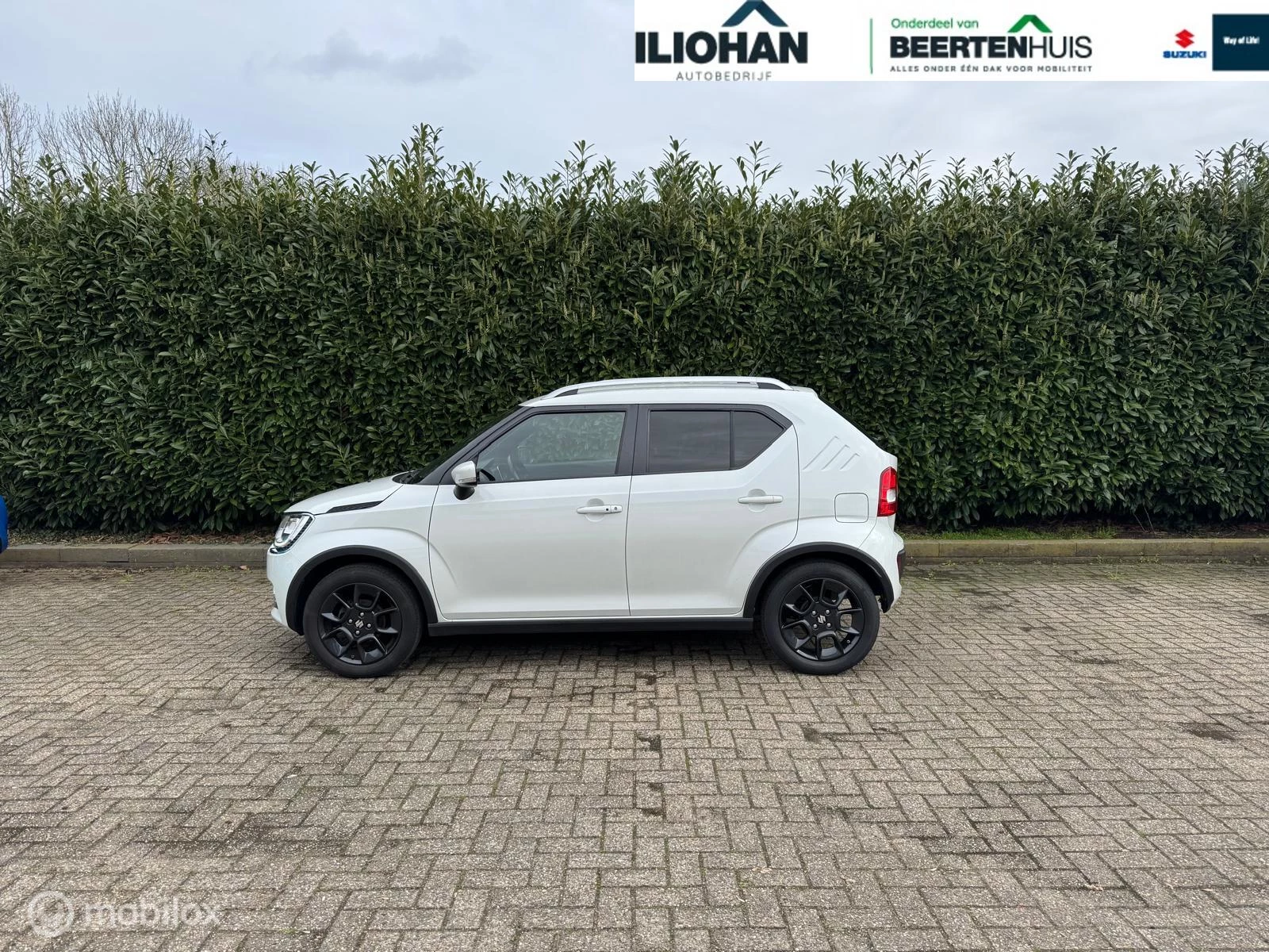Hoofdafbeelding Suzuki Ignis