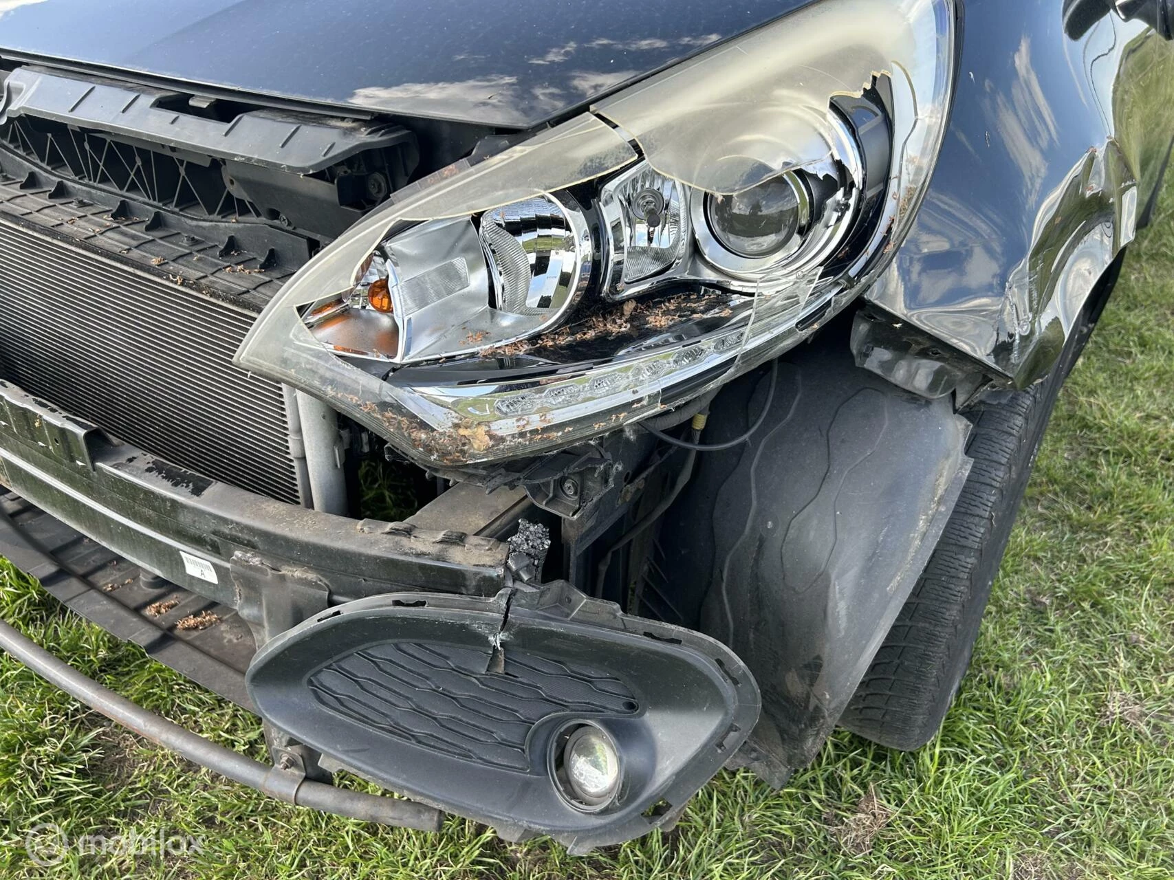 Hoofdafbeelding Kia Rio