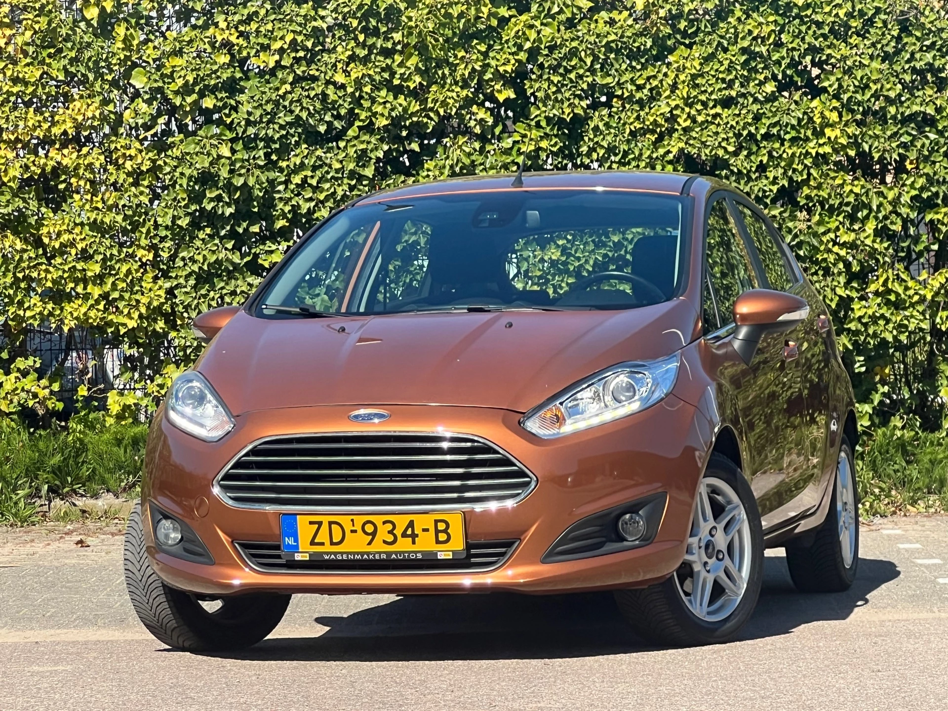 Hoofdafbeelding Ford Fiesta