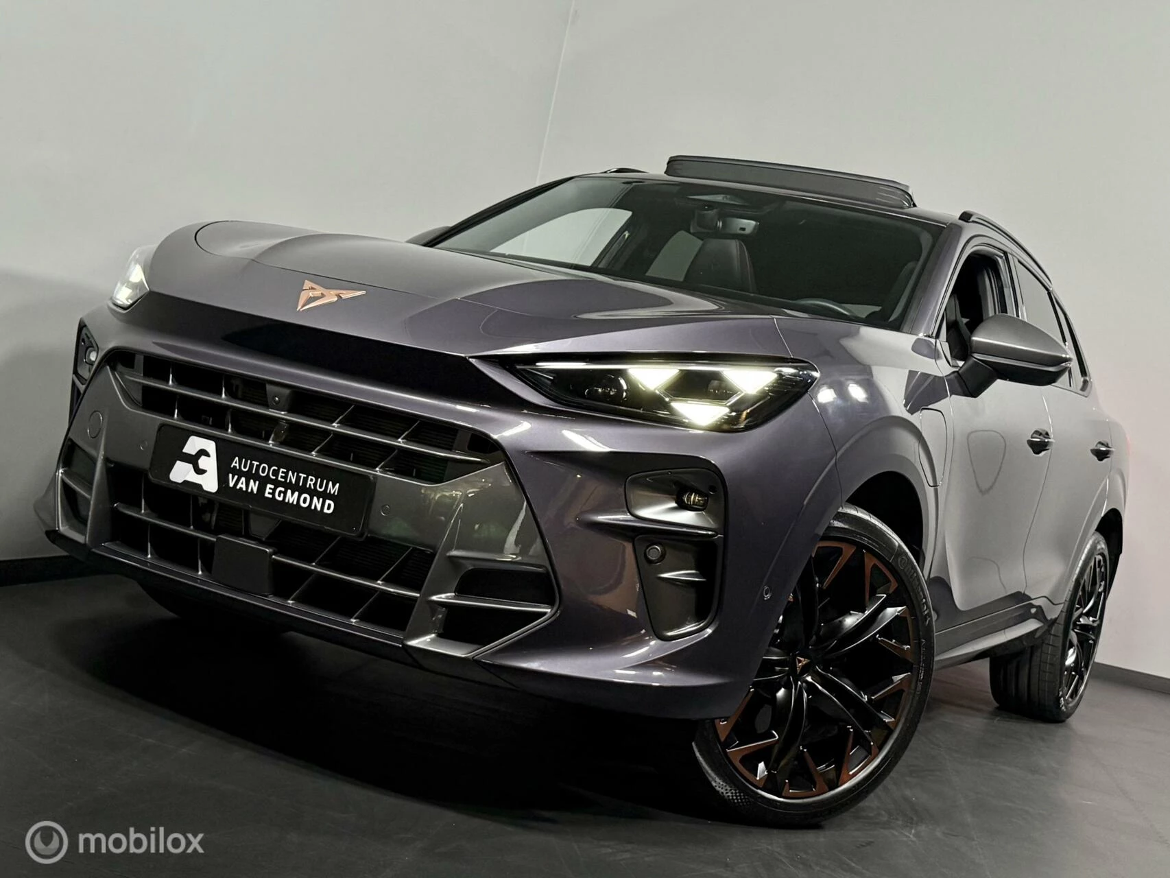 Hoofdafbeelding CUPRA Terramar
