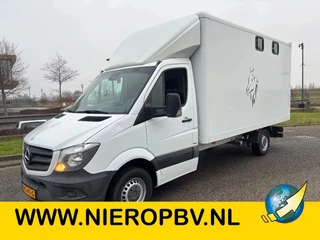 Mercedes-Benz Sprinter 316CDI Paardenwagen/schapen pony's/ en klein vee /Veewagen Airco Cruisecontrol Trekhaak
