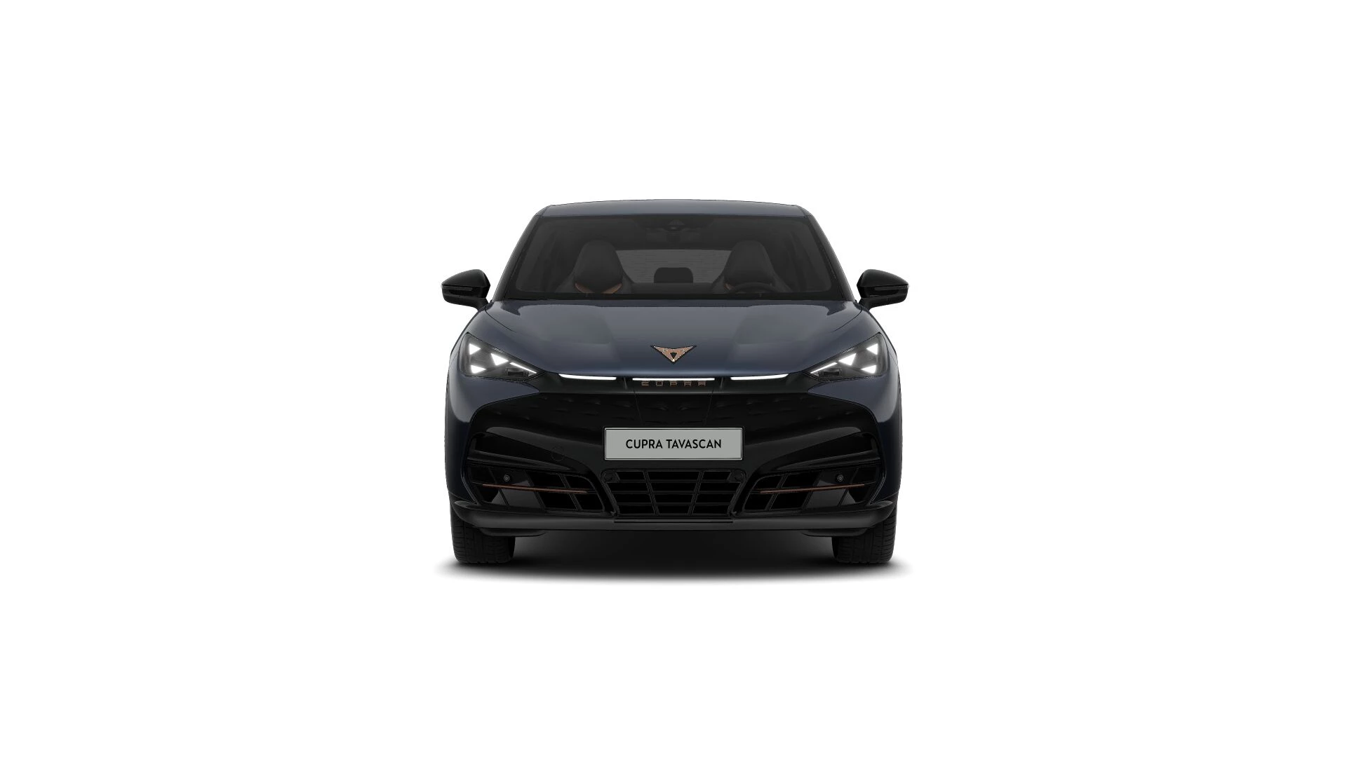 Hoofdafbeelding CUPRA Tavascan