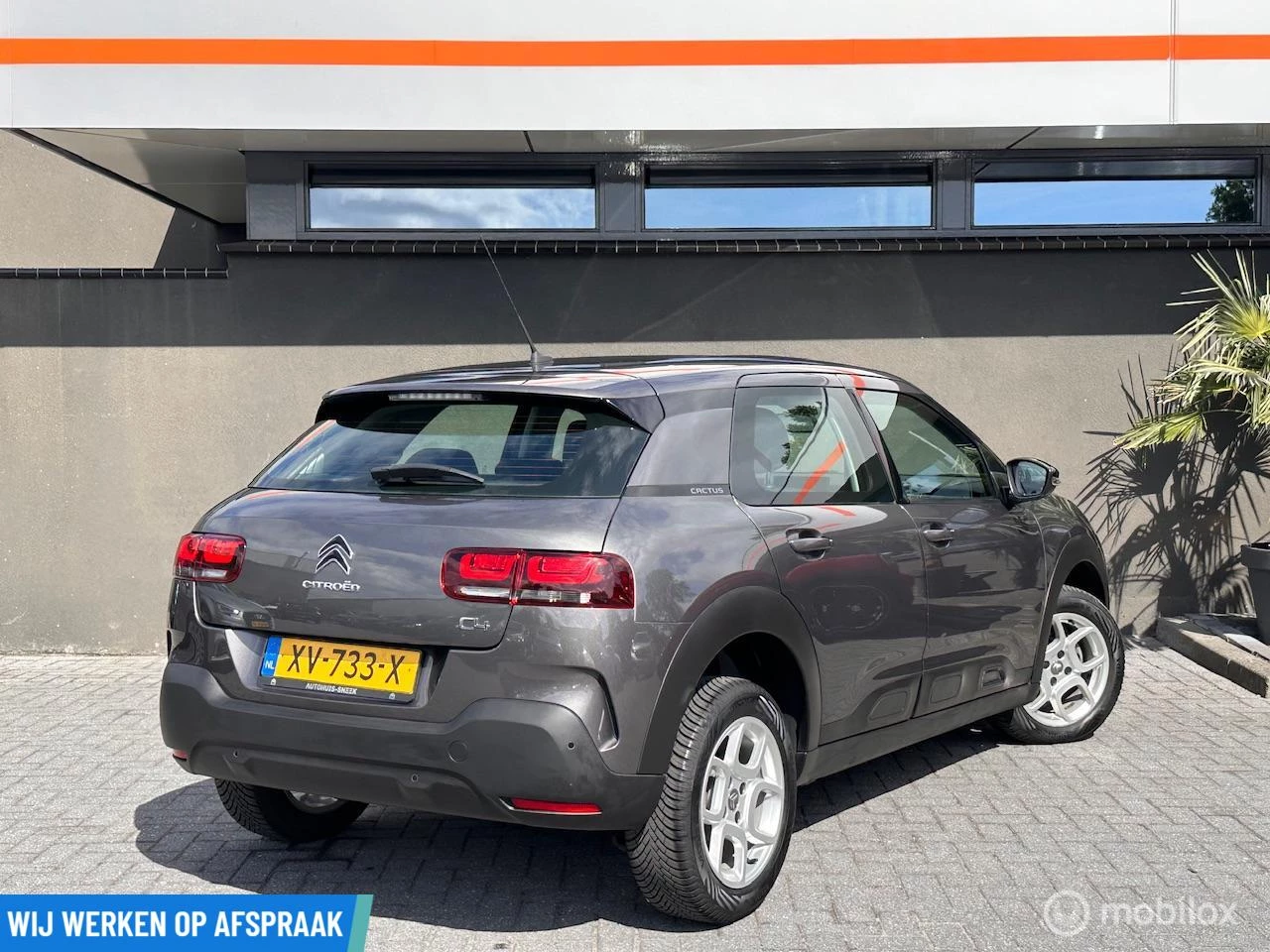 Hoofdafbeelding Citroën C4 Cactus