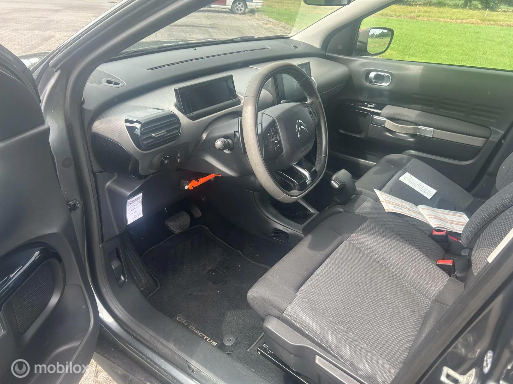 Hoofdafbeelding Citroën C4 Cactus