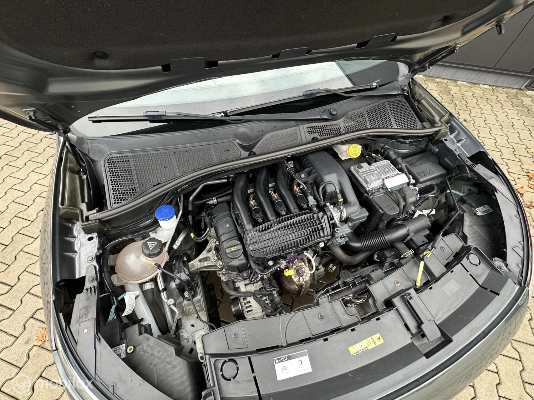 Hoofdafbeelding Citroën C4 Cactus