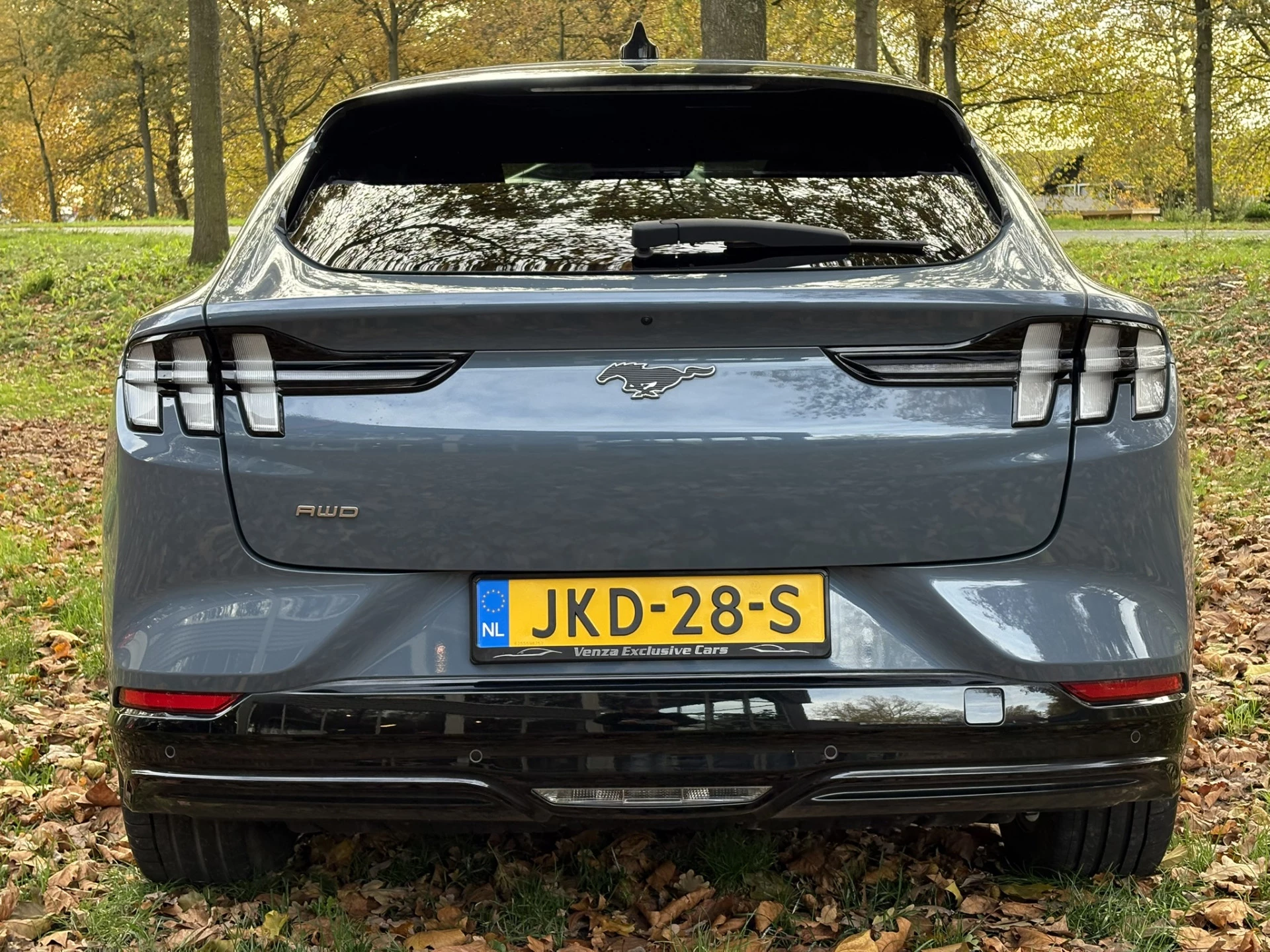 Hoofdafbeelding Ford Mustang Mach-E