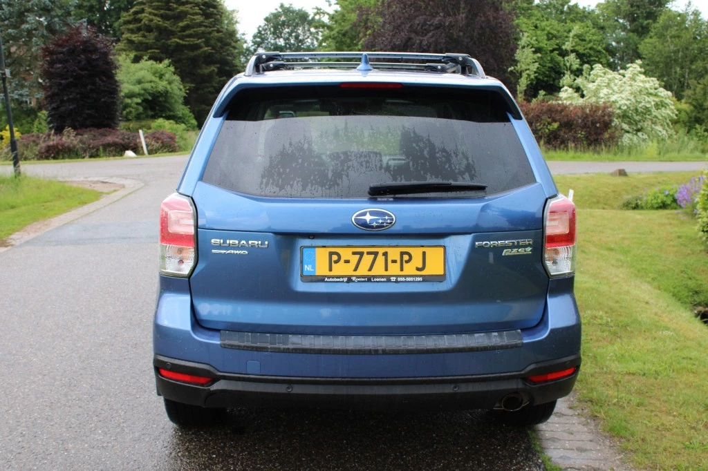 Hoofdafbeelding Subaru Forester