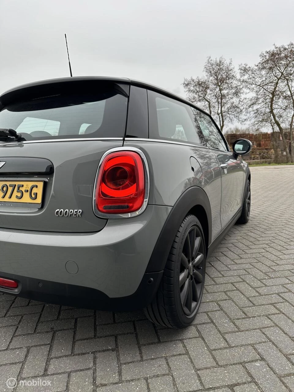 Hoofdafbeelding MINI Cooper