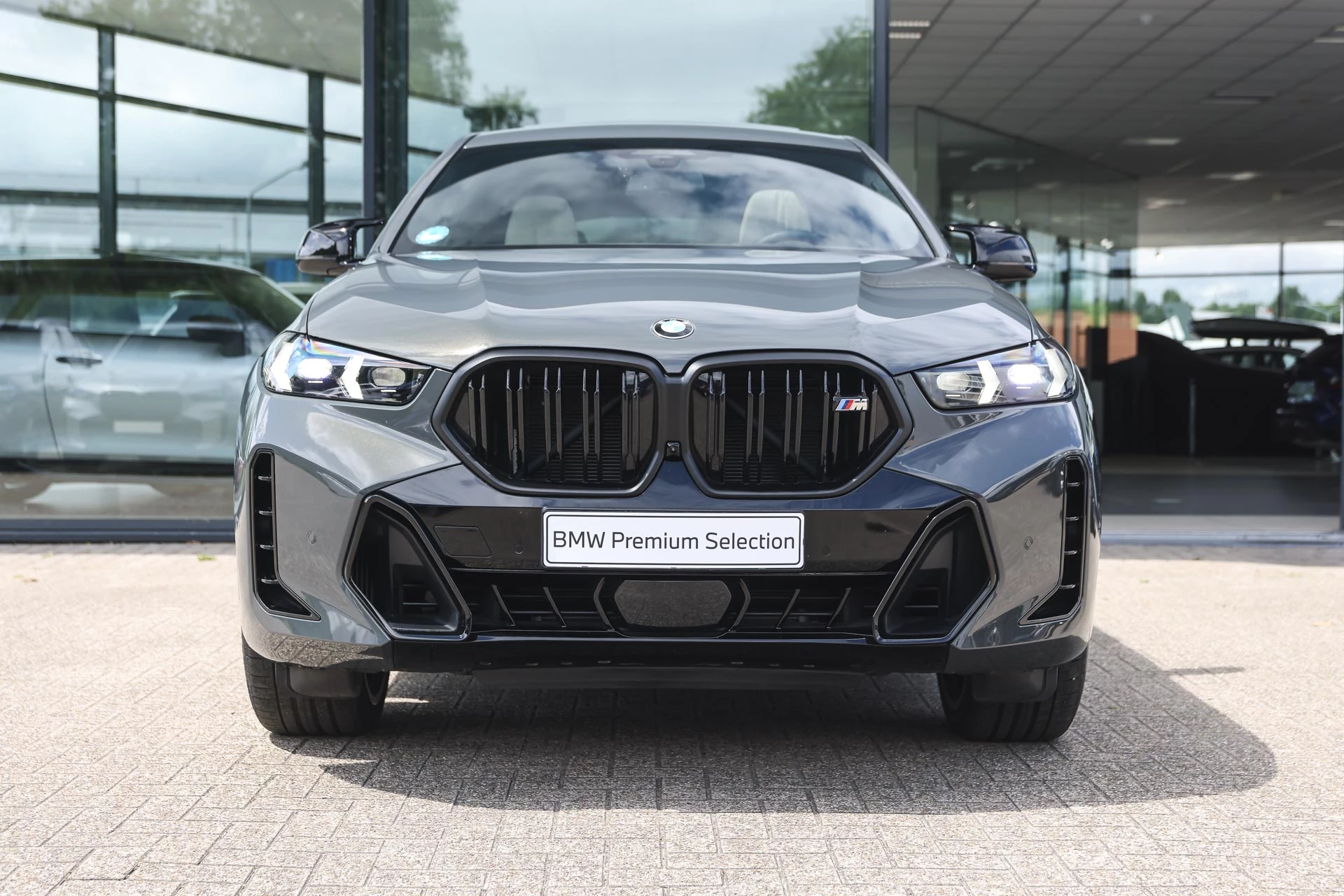 Hoofdafbeelding BMW X6