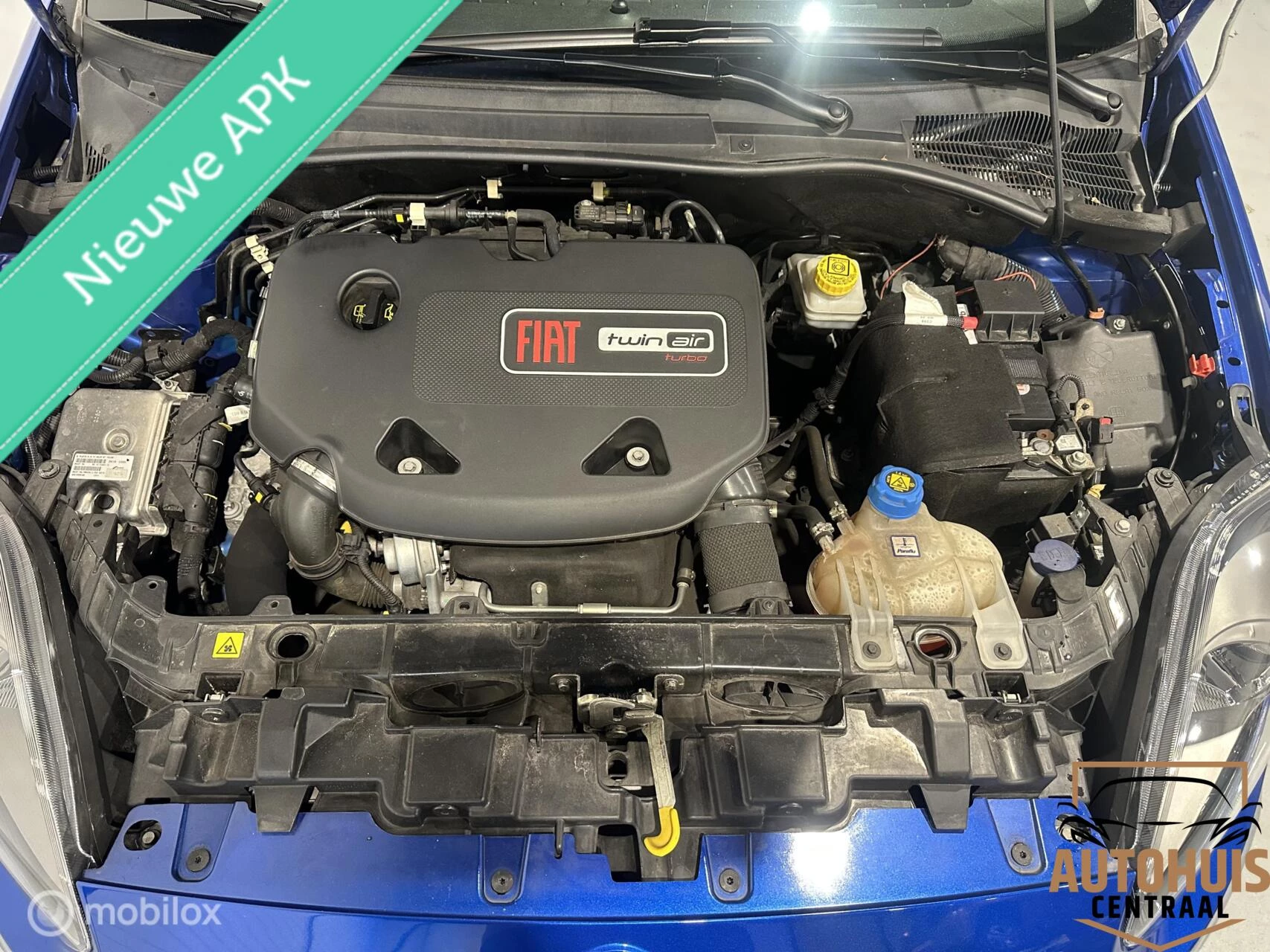 Hoofdafbeelding Fiat Punto